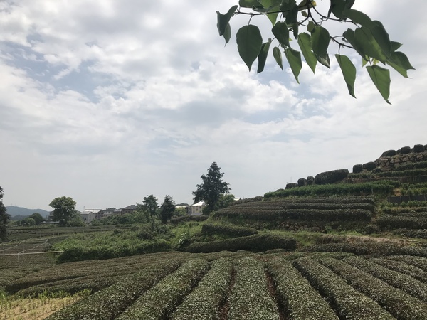 微信图片_20180502085830