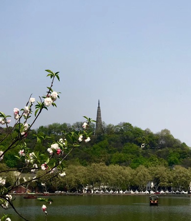 微信图片_20180502085836