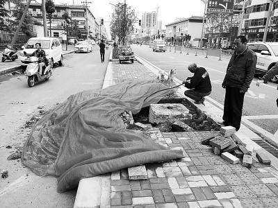 交通事故实为恶性案件？披露河南孟津4死2伤案详情