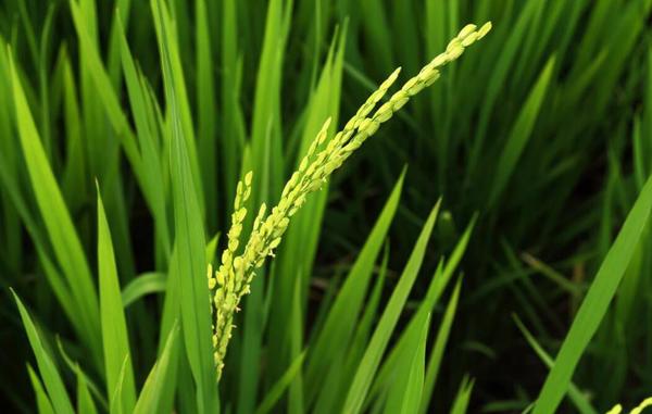 QQ截图20180507135723