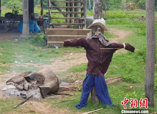 图为事发村庄。当地《柬中时报》提供