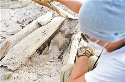 穿越罗布泊成多家旅行社项目:费用2万 提供越野车