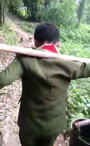 男孩连续3天未完成作业 被父亲带回老家挑粪教育