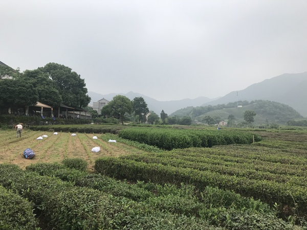 微信图片_20180514093201