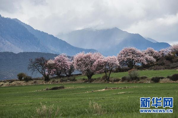 QQ截图20180521125133