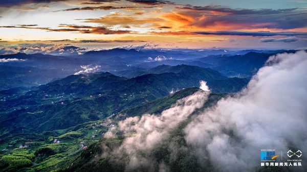 W020170705348475536438 W020170705348475536438