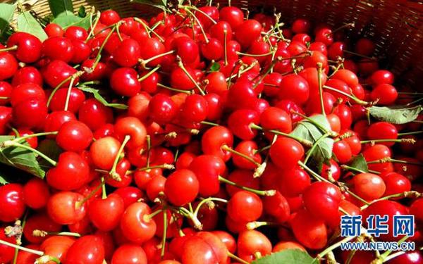 QQ截图20180524105335