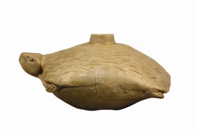 图1&nbsp; 三国吴越窑青釉鳖形瓷水盂