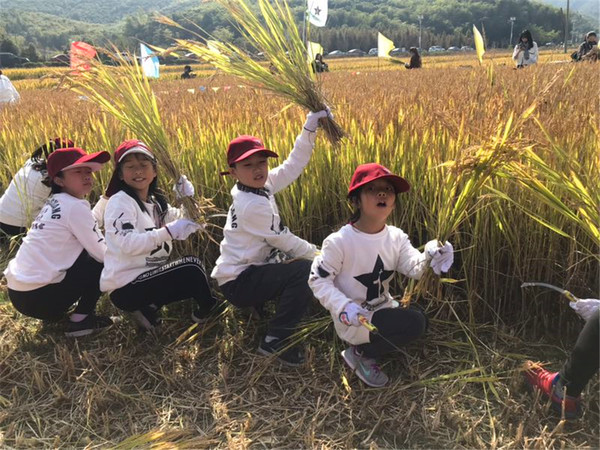 微信图片_20180524161221