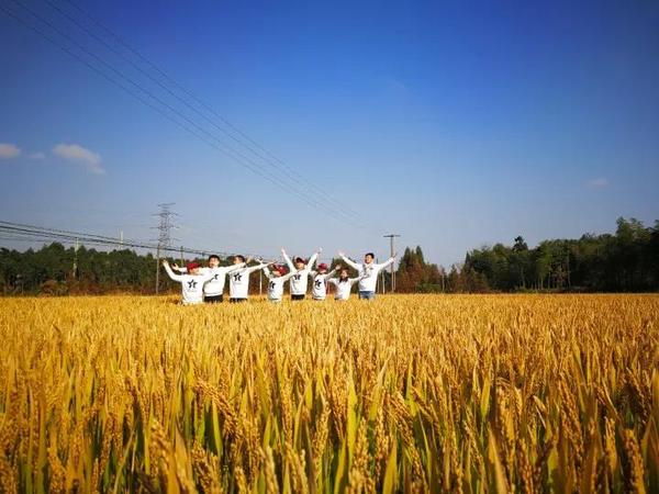 微信图片_20180524161231