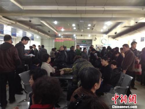 资料图：杭州市房产交易中心办证大厅，市民正在咨询、办理业务。李梦清 摄