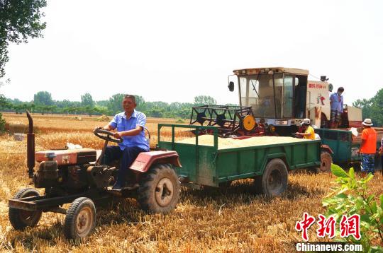 满载而归，的哥樊军亭脸上的笑意藏也藏不住?！『略?摄