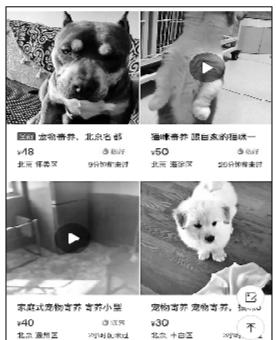 点击进入下一页