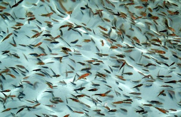 QQ截图20180607164328