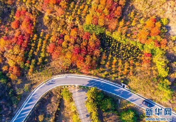 QQ截图20180608090252