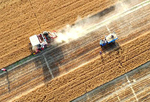 河北：“三夏”忙收麦