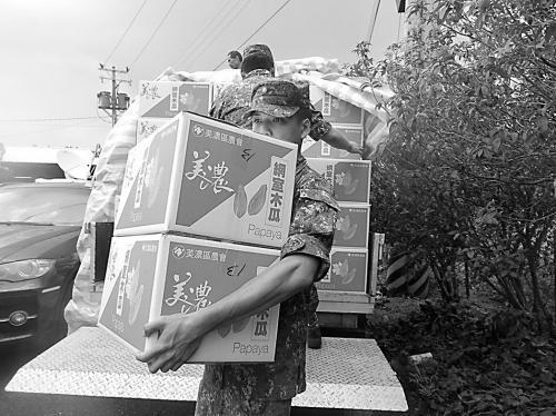 图片说明：台陆军11日采购135箱木瓜。