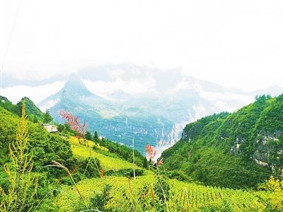 点击进入下一页