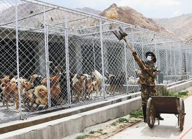 QQ截图20180615095442