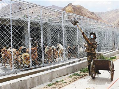 点击进入下一页