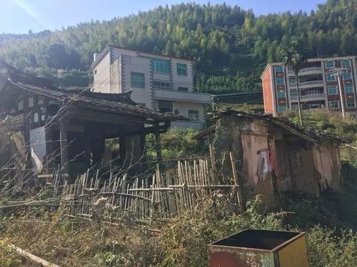 福建一被执行人叫嚣来抓我 法官满足要求拘15天