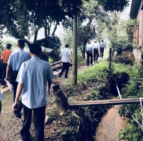 福建一被执行人叫嚣来抓我 法官满足要求拘15天