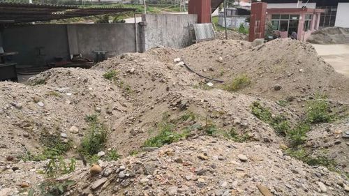 福建一被执行人叫嚣来抓我 法官满足要求拘15天