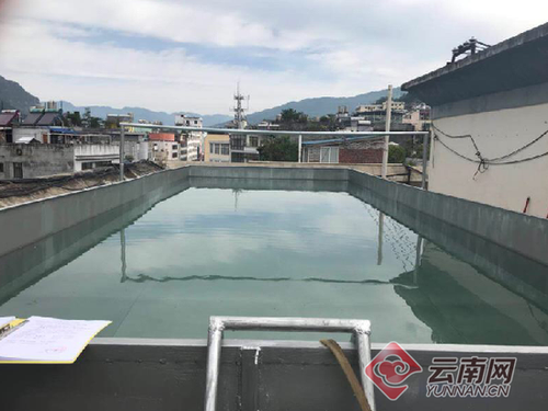 男子7楼楼顶建游泳池蓄水40吨 官方:进入处罚程序