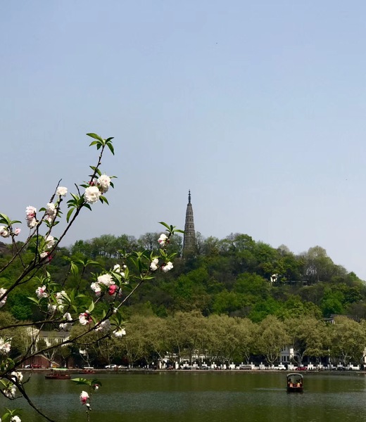 微信图片_20180620132530