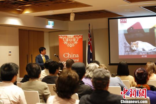 中国侨网讲座现场。 林丹　摄