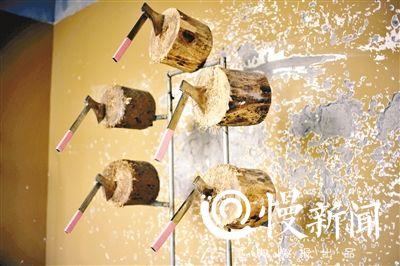 男子13年练成飞斧功：蒙眼扔斧精准 徒弟当靶子