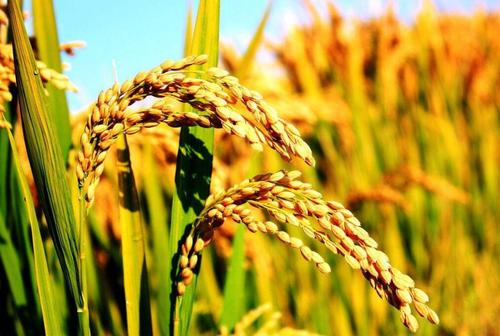 QQ截图20180627173149