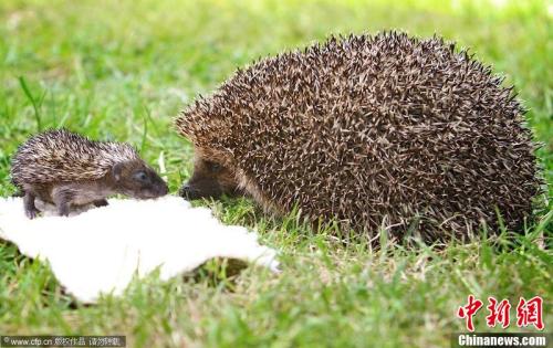 点击进入下一页