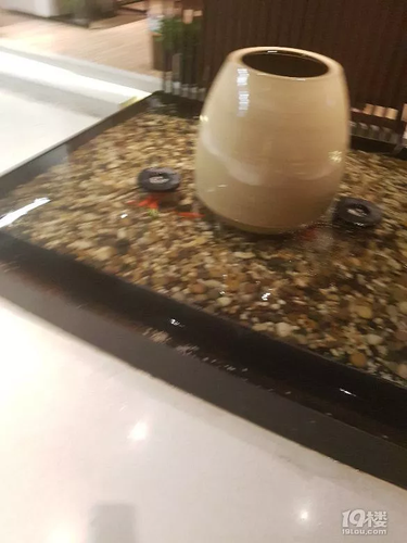 女孩掉进酒店水池 妈妈借毛巾被拒:不是顾客50一条