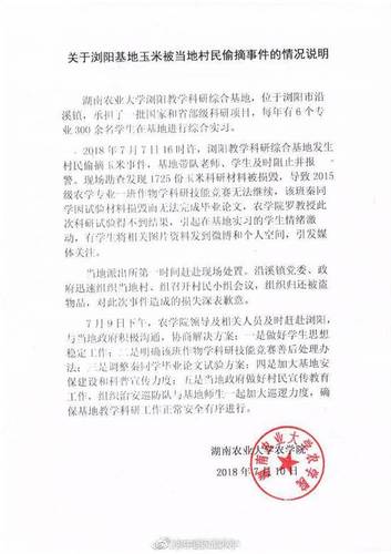 湖南农大价值千万科研玉米被偷 校方:调整论文方案