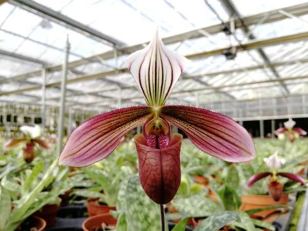 微信图片_20180714125502