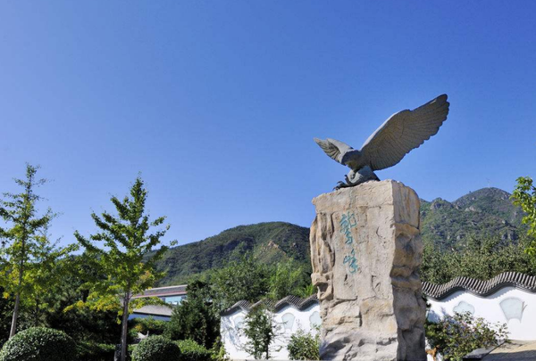 QQ截图20180718092015