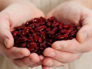 夏季这几样食物 能“一键删除”湿气！