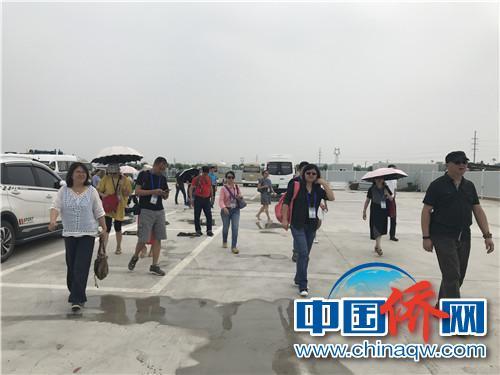 海外华文媒体代表进入雄安新区。 周欣媛 摄