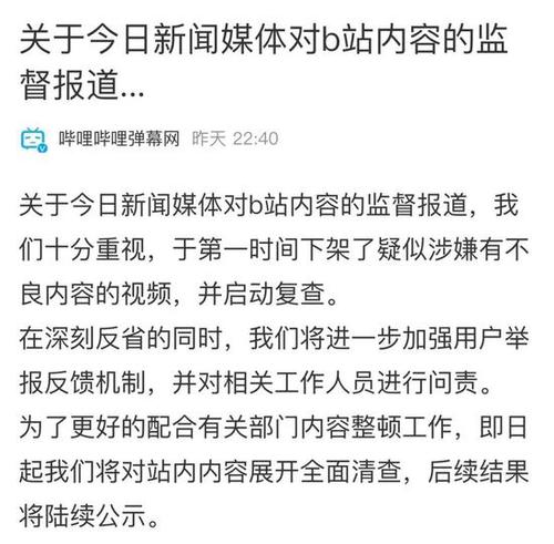 B站回应被央视点名：已下架涉嫌不良内容的视频