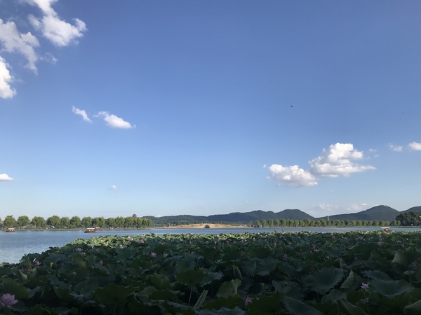 微信图片_20180724122143