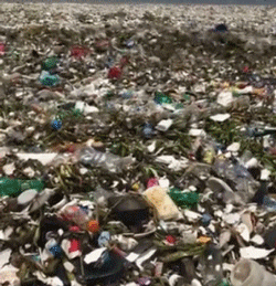 海洋垃圾反攻 加勒比岛国度假沙滩被垃圾吞没