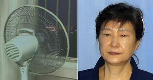朴槿惠38度桑拿天怎么熬？凉水泼身子后吹风扇