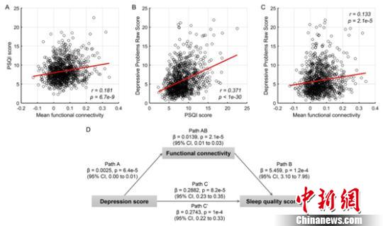 国际合作团队揭示抑郁症与睡眠问题之间的脑调控机制