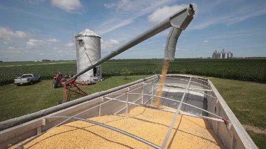 特朗普高兴的太早了！美媒：欧盟无法帮助美国解决大豆销路