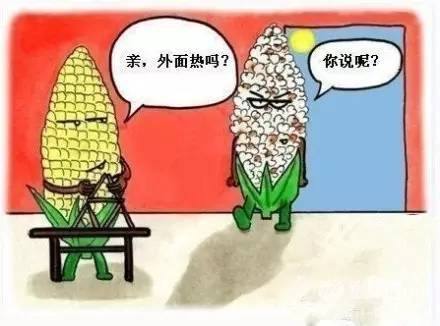 中暑为什么会死人？对中暑决不能掉以轻心！