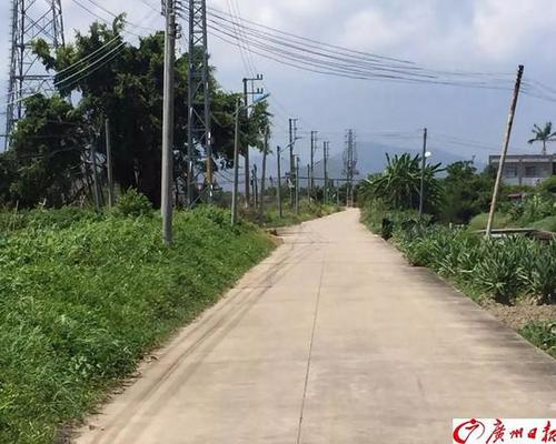 男子被撞身亡却抓不到肇事者 过路9辆车全要担责