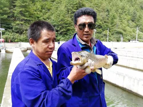 微信图片_20180802142907