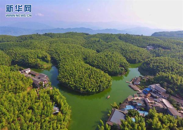 1121192509_14981173822811n