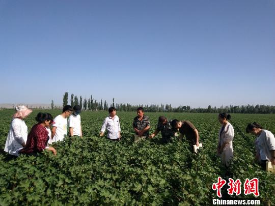 新疆兵团投1111万元支持贫困团场科技工作